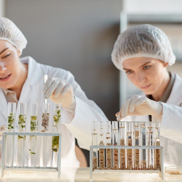 Portrait of two young female scientist working with test tubes with plant samples while doing experiments in biotechnology lab